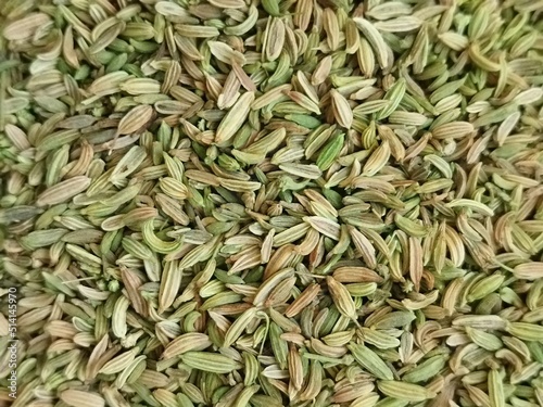 close up green fennel seed texture background