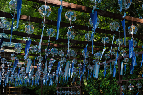 大阪府　水無瀬神宮風景素材