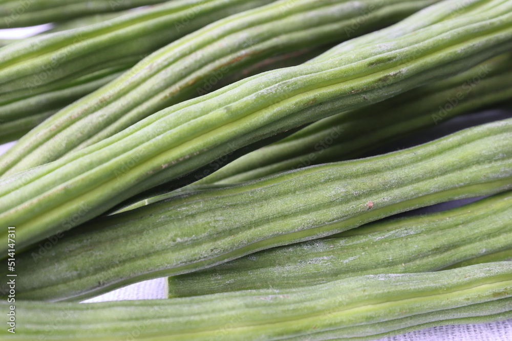 Drumstick Vegetable or Moringa on display in white background. Very healthy foods. Drumstick Vegetable or Moringa on display in white background. Very healthy foods.