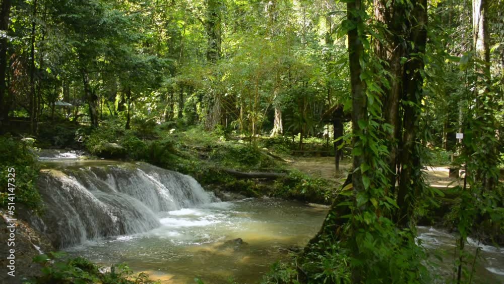 Morning scenery in the forest with water stream flowing over the cascade through the green plants under sunlight. Sunny day in tropical rainforest. Phang Nga Province. Thailand. Morning scenery in the forest with water stream flowing over the cascade through the green plants under sunlight. Sunny day in tropical rainforest. Phang Nga Province. Thailand.