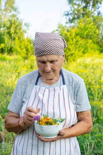 old woman collects medicinal herbs. Selective focus.