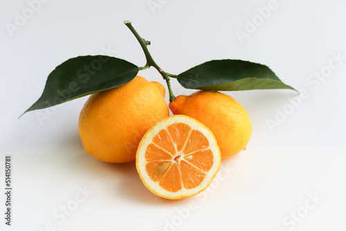 ripe yellow lemons isolated on white background