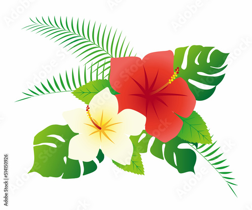 ハイビスカスと観葉植物のイラスト素材 ベクター 夏イメージ
