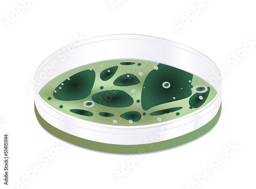 Vector illustration of the petri dish with green mold colonies isolated on a white background. Mold growing, laboratory test, and research, biochemistry.