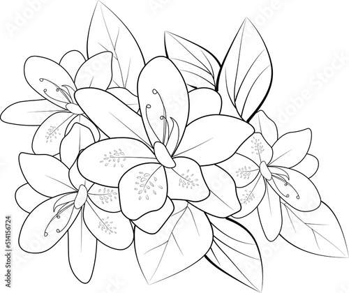 abstract flower illustration