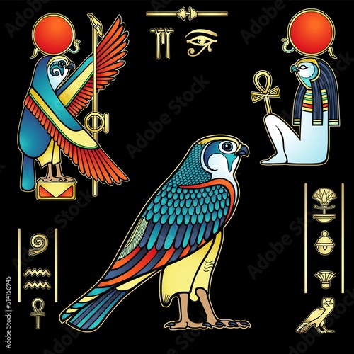 Animation color drawing: set of images of sacred Egyptian Falcon bird. Animal and human. Vector illustration isolated on a black background.