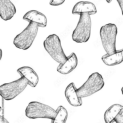 Seamless pattern with forest mushrooms on a white background. Hand drawn vector illustration