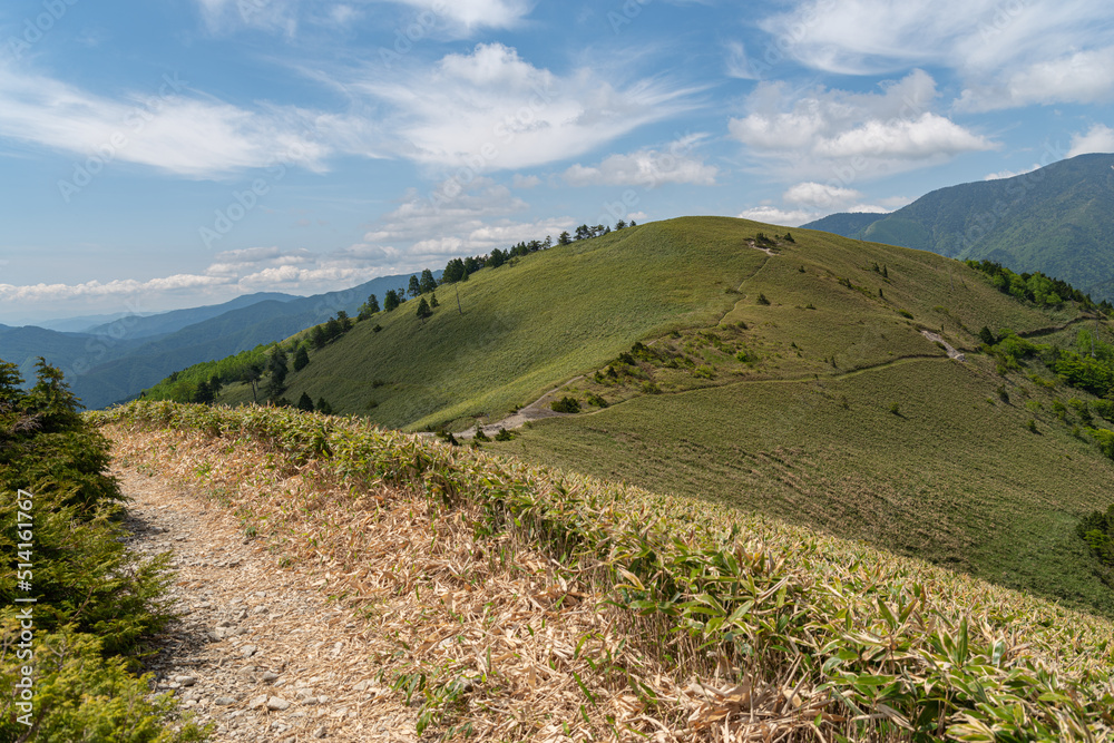 Fototapeta premium 爽やかな高原 富士見台高原