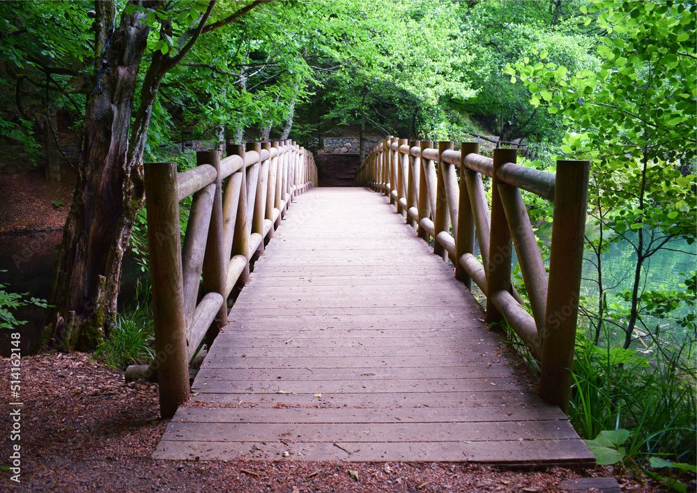 wooden bridge in the woods wooden bridge in the woods