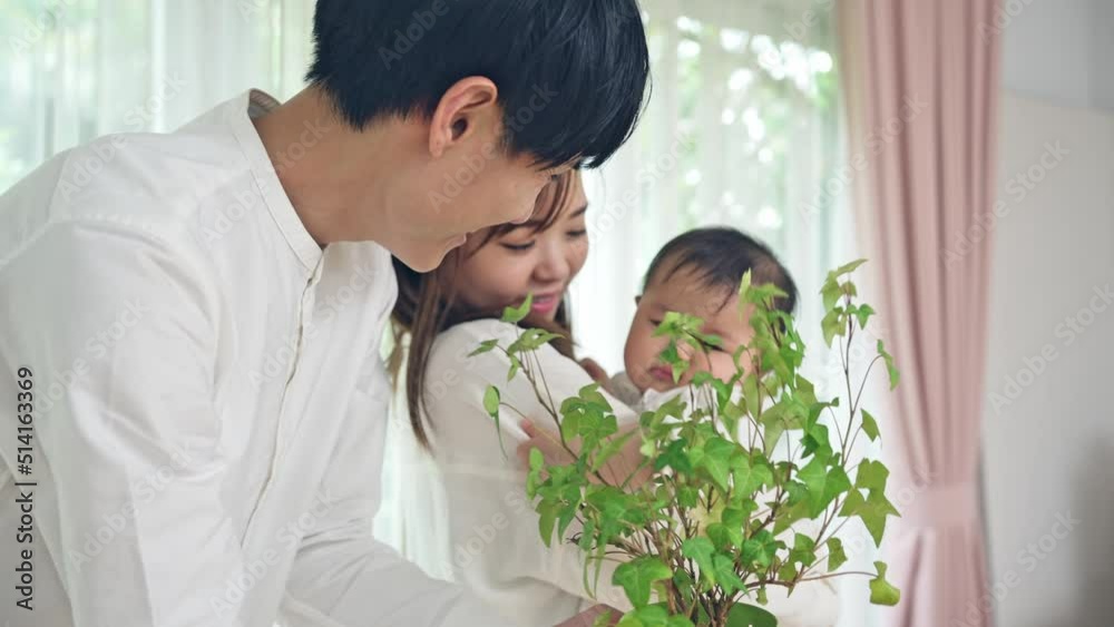 植物を見る赤ちゃんと両親 植物を見る赤ちゃんと両親