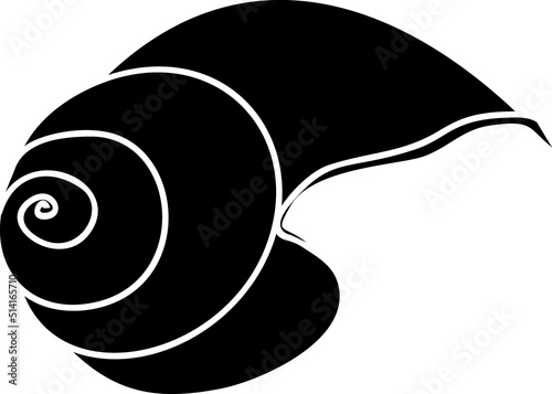 Black silhouette of abstract mollusc shell