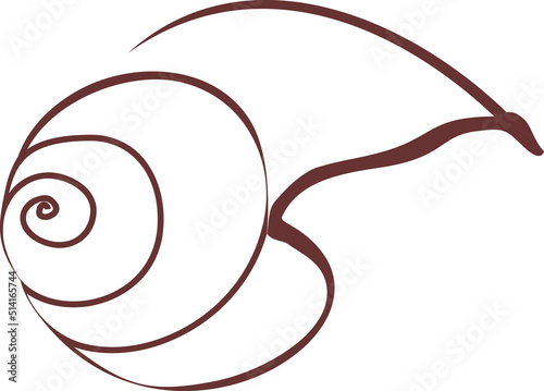 Sketch of abstract mollusc shell