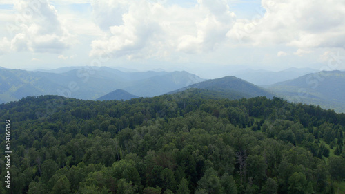 Green forest on mountains of Manzherok under white clouds