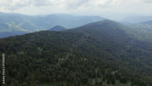 Valley and green deep forest on mountains of Manzherok under blue sky