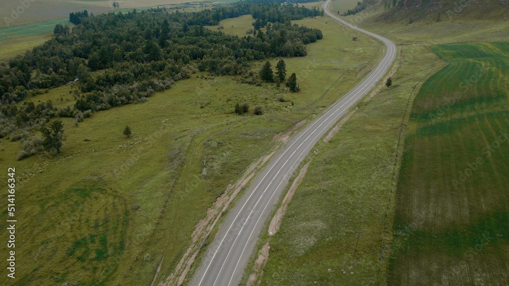 Curve asphalt road between green field in Altai