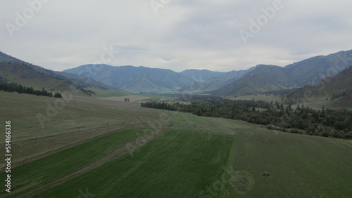 Green fields and mountains under blue sky with white clouds in Altai