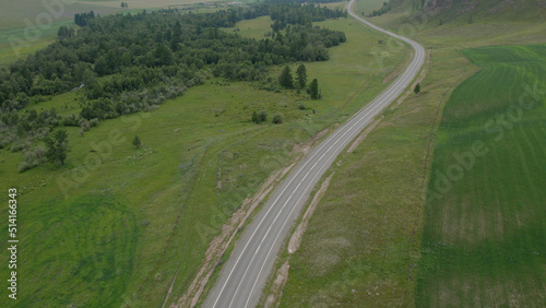 Curve asphalt road between green field in Altai