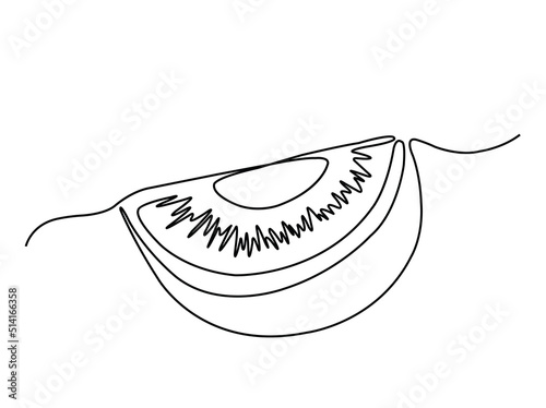 one line kiwi fruit illustration drawing. line art kiwi piece abstract vector