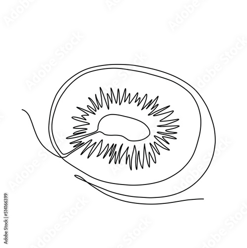 one line kiwi fruit illustration drawing. line art kiwi piece abstract vector