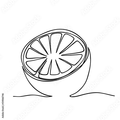 one line orange fruit illustration drawing. line art orange piece abstract vector