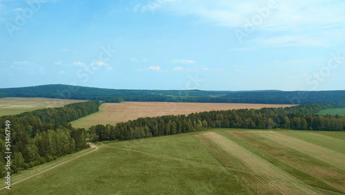 Green forest and rural field with blue sky in summer time