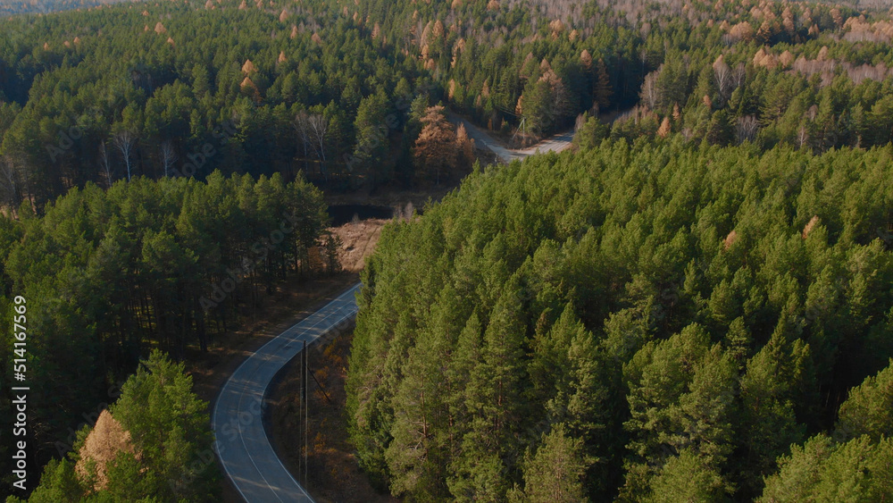 Fototapeta premium Closeup road between yellow and green autumn forest