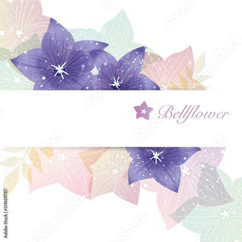 桔梗の花のイラスト背景