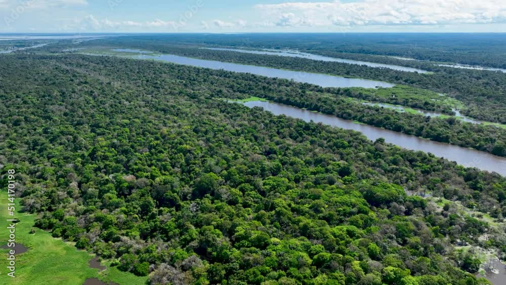 Amazon River at Amazon Rainforest. The famous tropical forest of world ...