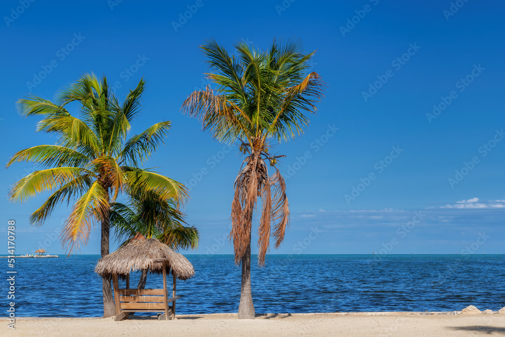 Fototapeta premium Palm trees and straw umbrella in sunset beach state park in tropical island in Florida Keys