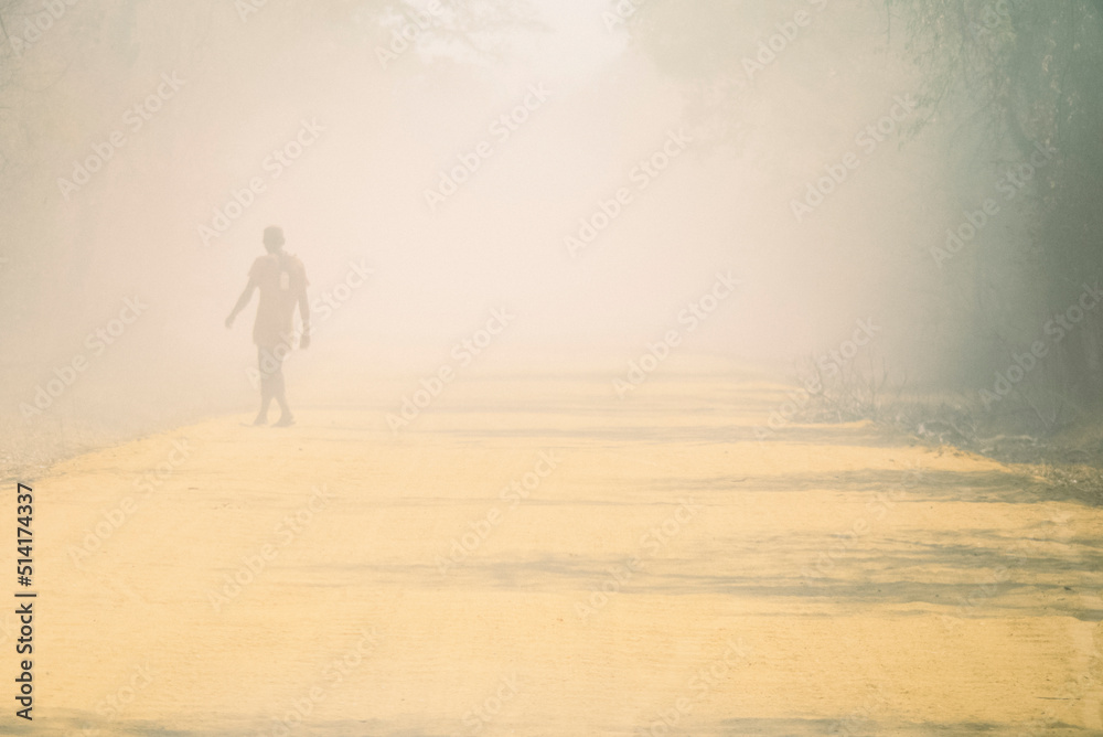 Road crossing the baobab walk in Madagascar as a truck passes and dust ...