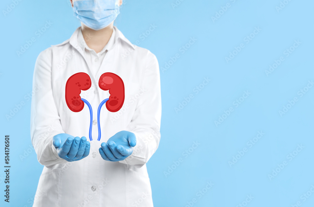 Closeup view of doctor and illustration of kidneys on light blue background. Space for text Closeup view of doctor and illustration of kidneys on light blue background. Space for text