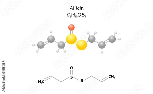 Stylized molecule model/structural formula of allicin.
