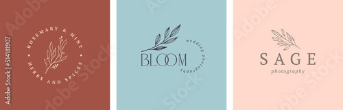 Collection of Botanical Minimalistic, Feminine Logos with Organic Plant Elements