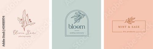 Collection of Botanical Minimalistic, Feminine Logos with Organic Plant Elements