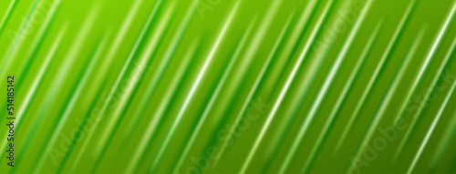 Abstract background in green colors made of soft oblique lines