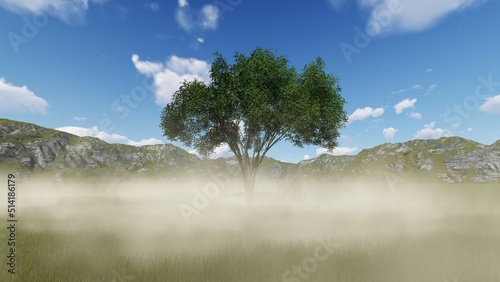 tree in the mountains in the fog blue sky 3d render