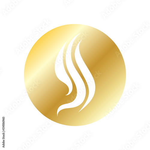 Hair treatment logo removal logo vector image design illustration