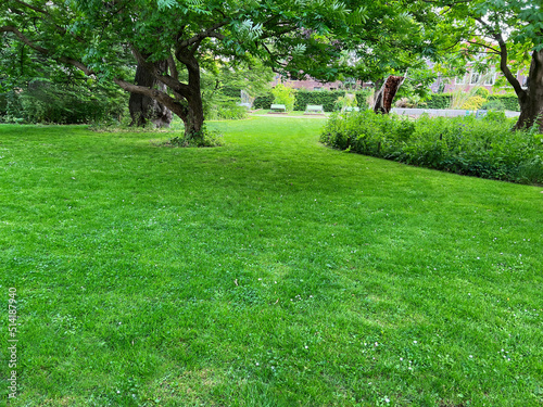 Beautiful lawn with green grass in park on sunny day