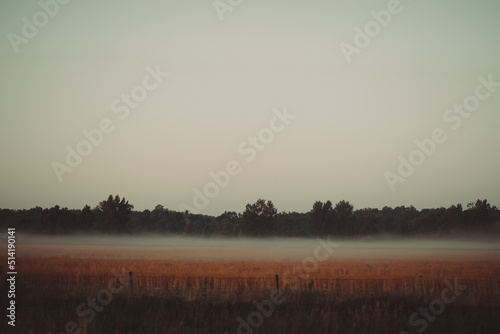 field with mist clouds on the ground in dawn © Haris