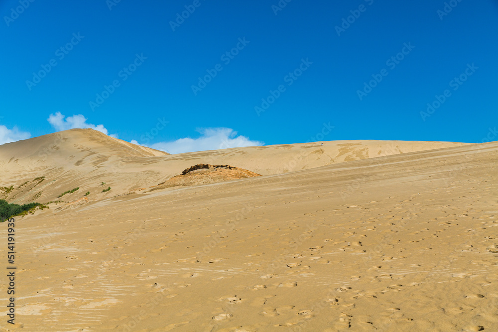 ニュージーランド　ケープ・レインガの近郊にあるテパキ大砂丘