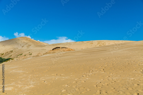 ニュージーランド ケープ・レインガの近郊にあるテパキ大砂丘