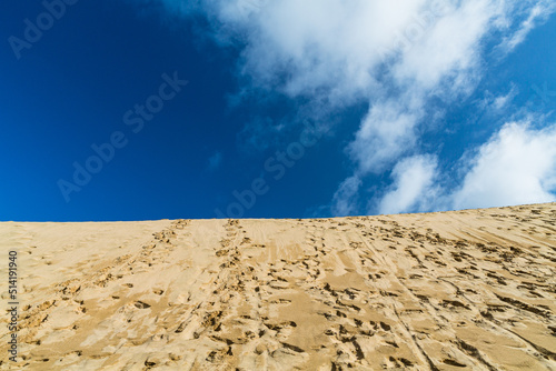 ニュージーランド ケープ・レインガの近郊にあるテパキ大砂丘の砂の上に残った足跡