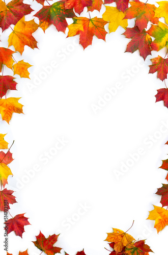 Frame of autumnal maple leaves on a white background with space for text. Top view  flat lay
