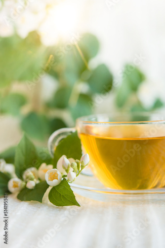 cup of herbal tea with jasmine flowers