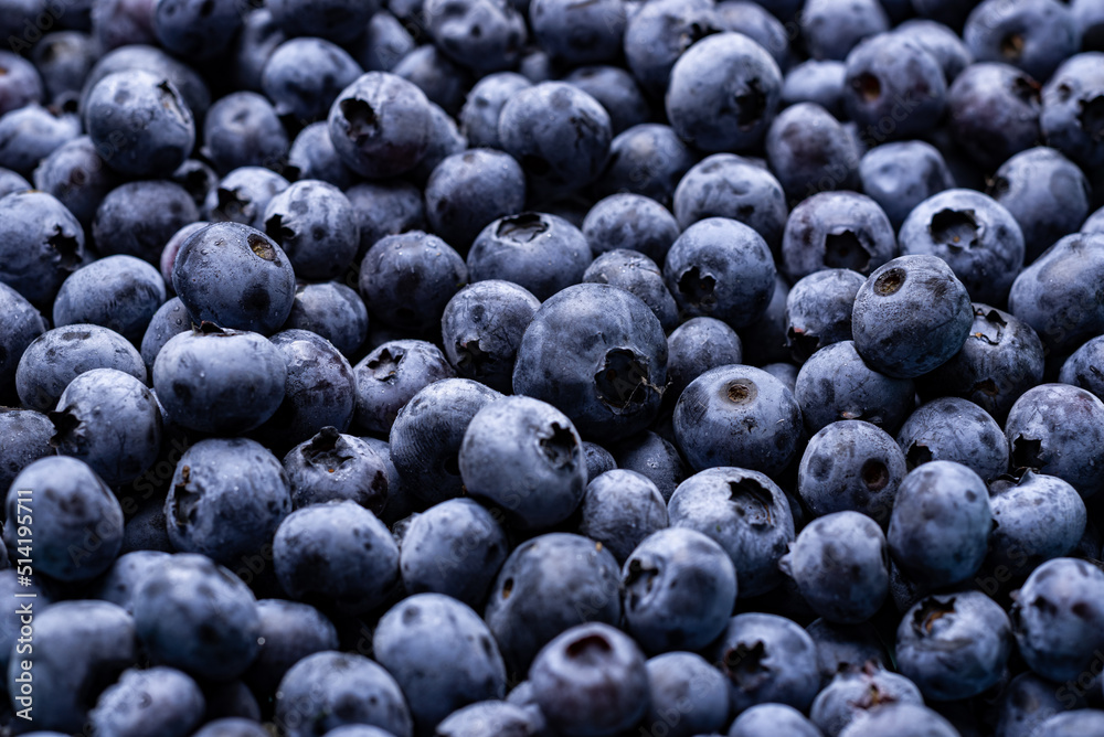 Fresh blueberries close-up. Berry background.