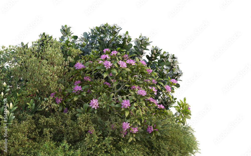 3d render flowers and shrubs on a white background