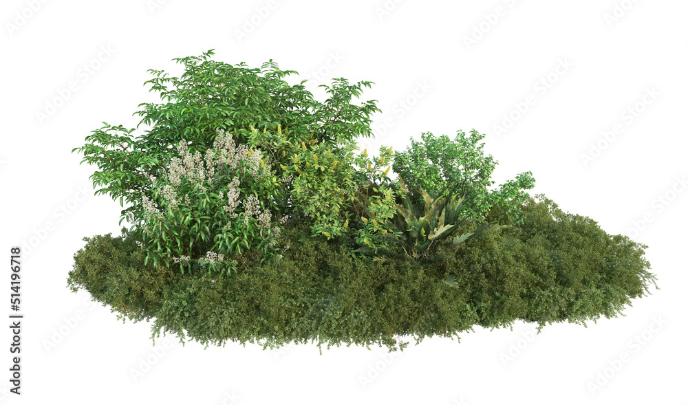 Fototapeta premium 3d render flowers and shrubs on a white background