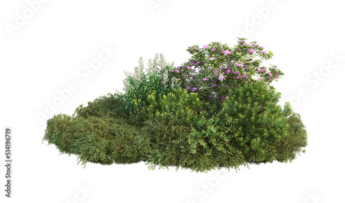 3d render flowers and shrubs on a white background