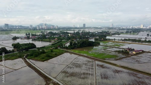 Aerial view water paddy field at Permatang Pauh photo