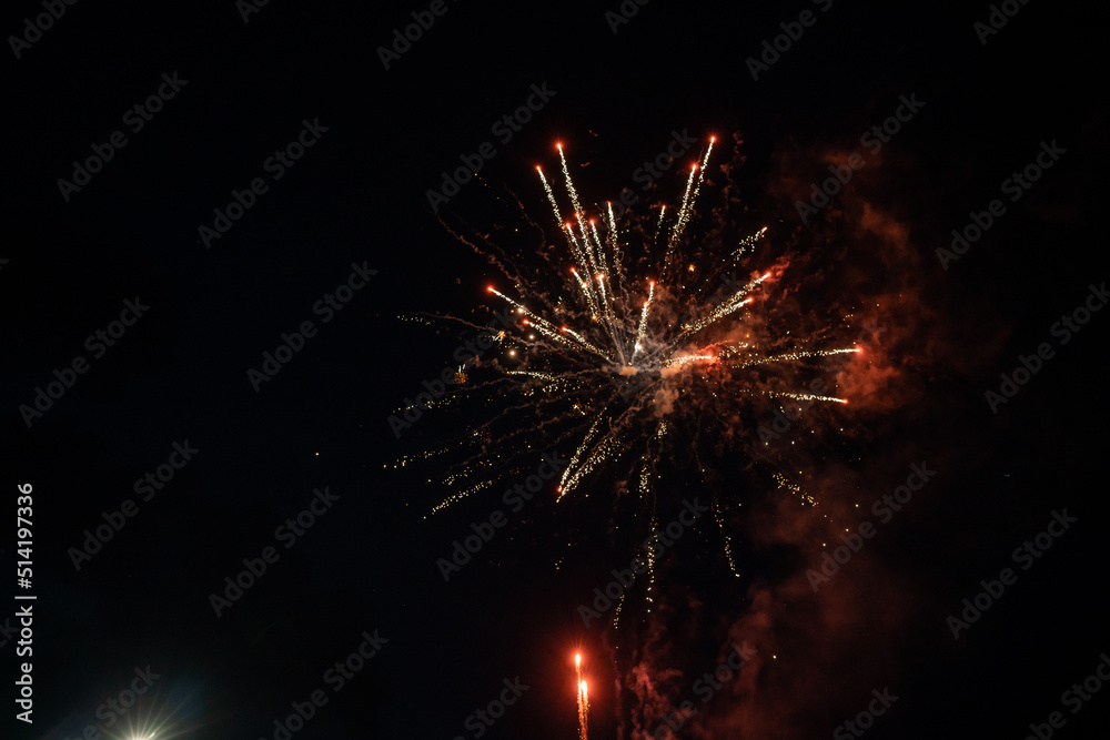 fireworks in the night sky